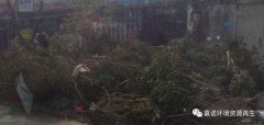 超強(qiáng)臺風(fēng)災(zāi)害后垃圾處理，援助第1站：惠州
